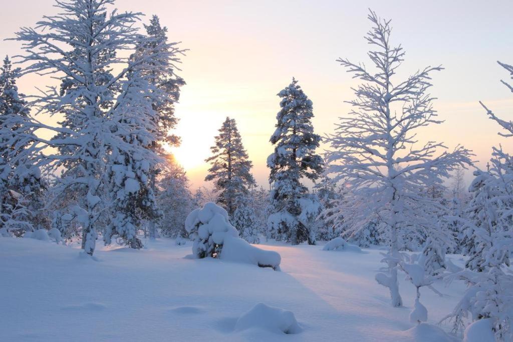 Kielo In Center Near All The Main Spots Rovaniemi Kültér fotó