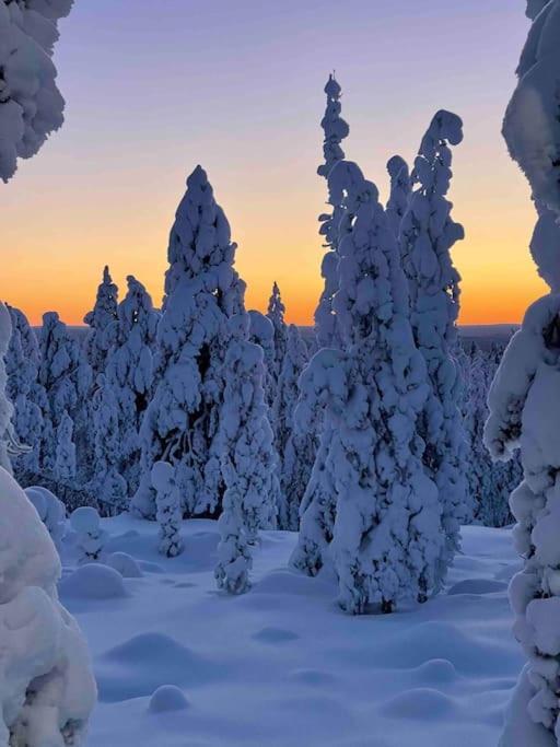 Kielo In Center Near All The Main Spots Rovaniemi Kültér fotó